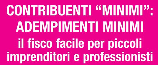 Regime dei minimi – Che cosa è, Vantaggi , Svantaggi